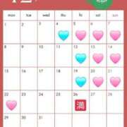 ヒメ日記 2025/11/24 10:34 投稿 まゆ チューリップ福井本館