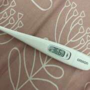 ヒメ日記 2025/04/09 15:18 投稿 山本　ろーさ つくば風俗エキスプレス   ヌキ坂46