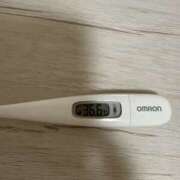 ヒメ日記 2025/06/17 15:15 投稿 山本　ろーさ つくば風俗エキスプレス   ヌキ坂46