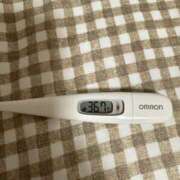 ヒメ日記 2025/07/30 15:16 投稿 山本　ろーさ つくば風俗エキスプレス   ヌキ坂46