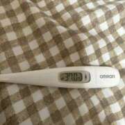 ヒメ日記 2025/08/04 15:18 投稿 山本　ろーさ つくば風俗エキスプレス   ヌキ坂46