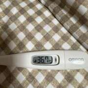 ヒメ日記 2025/08/07 15:20 投稿 山本　ろーさ つくば風俗エキスプレス   ヌキ坂46