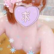 ヒメ日記 2024/12/29 09:44 投稿 乙葉 鶯谷人妻城