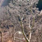 ヒメ日記 2025/02/03 16:17 投稿 あき マリン千姫