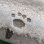 ヒメ日記 2025/02/19 16:46 投稿 あき マリン千姫