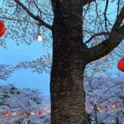 ヒメ日記 2025/04/12 21:34 投稿 あき マリン千姫