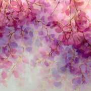 ヒメ日記 2025/04/26 21:46 投稿 あき マリン千姫