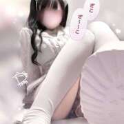 ヒメ日記 2026/01/21 00:12 投稿 ねね かりんと吉祥寺