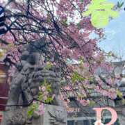 ヒメ日記 2025/03/12 14:30 投稿 りか 出会い系人妻ネットワーク 上野〜大塚編