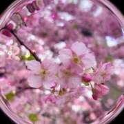 ヒメ日記 2025/03/13 10:02 投稿 りか 出会い系人妻ネットワーク 上野〜大塚編