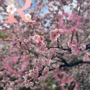 ヒメ日記 2025/03/18 10:02 投稿 りか 出会い系人妻ネットワーク 上野〜大塚編