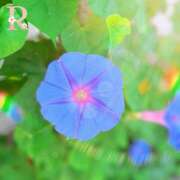 ヒメ日記 2025/06/19 10:45 投稿 りか 出会い系人妻ネットワーク 上野〜大塚編