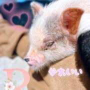 ヒメ日記 2025/09/15 07:01 投稿 りか 出会い系人妻ネットワーク 上野〜大塚編