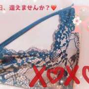 ヒメ日記 2025/09/18 10:30 投稿 りか 出会い系人妻ネットワーク 上野〜大塚編