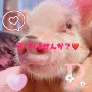 ヒメ日記 2025/10/17 08:01 投稿 りか 出会い系人妻ネットワーク 上野〜大塚編