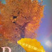 りか 過ごしやすい季節🍁 出会い系人妻ネットワーク 上野〜大塚編