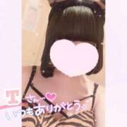 ヒメ日記 2025/02/05 15:46 投稿 なごみ マツタケヒロシ