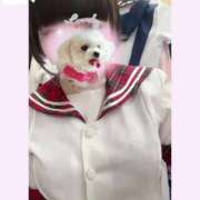 ヒメ日記 2025/03/25 21:58 投稿 なごみ マツタケヒロシ