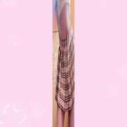 ヒメ日記 2025/05/22 16:03 投稿 なごみ マツタケヒロシ