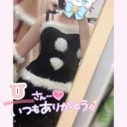 ヒメ日記 2025/11/29 23:11 投稿 なごみ マツタケヒロシ