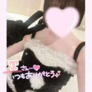 ヒメ日記 2025/12/03 22:51 投稿 なごみ マツタケヒロシ