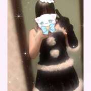 ヒメ日記 2025/12/11 23:01 投稿 なごみ マツタケヒロシ