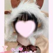 ヒメ日記 2025/12/25 06:41 投稿 なごみ マツタケヒロシ