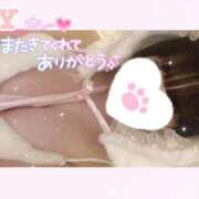 ヒメ日記 2026/01/29 20:31 投稿 なごみ マツタケヒロシ