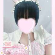 ヒメ日記 2026/01/29 20:51 投稿 なごみ マツタケヒロシ