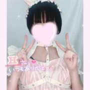 ヒメ日記 2026/02/01 10:34 投稿 なごみ マツタケヒロシ