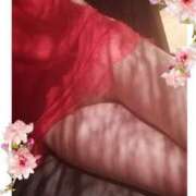 ヒメ日記 2025/11/10 11:16 投稿 たちばな 大和人妻城