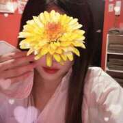 ヒメ日記 2025/02/12 08:30 投稿 ナオ ドMな奥様 名古屋・錦店