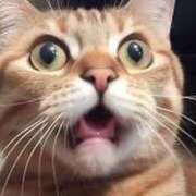 ヒメ日記 2025/03/18 10:01 投稿 ナオ ドMな奥様 名古屋・錦店