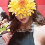 ヒメ日記 2025/04/08 20:19 投稿 ナオ ドMな奥様 名古屋・錦店