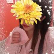 ヒメ日記 2025/04/10 13:04 投稿 ナオ ドMな奥様 名古屋・錦店