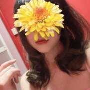 ヒメ日記 2025/06/13 13:13 投稿 ナオ ドMな奥様 名古屋・錦店