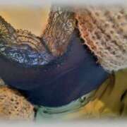 ヒメ日記 2025/03/08 14:26 投稿 ななお先生 渋谷   大人の幼稚園