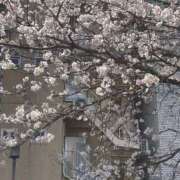 ヒメ日記 2025/04/04 19:26 投稿 にこ 秘密のアルバイト（高知）