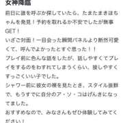 ヒメ日記 2025/07/05 03:52 投稿 きほ プロフィール 大阪店