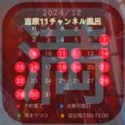 ヒメ日記 2024/12/23 18:41 投稿 みぽりん様(みほ) 11チャンネル