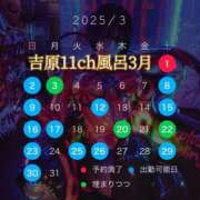 ヒメ日記 2025/02/24 11:09 投稿 みぽりん様(みほ) 11チャンネル