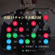 ヒメ日記 2025/03/11 16:12 投稿 みぽりん様(みほ) 11チャンネル