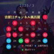 ヒメ日記 2025/03/15 22:16 投稿 みぽりん様(みほ) 11チャンネル