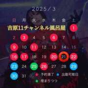 ヒメ日記 2025/03/18 21:40 投稿 みぽりん様(みほ) 11チャンネル