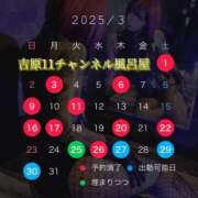 ヒメ日記 2025/03/23 03:29 投稿 みぽりん様(みほ) 11チャンネル