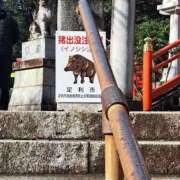 りかこ 皆様ありがとう♡また明日へ♡ 熟女の風俗最終章 宇都宮店