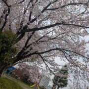 ヒメ日記 2026/03/20 00:26 投稿 りかこ 熟女の風俗最終章 宇都宮店