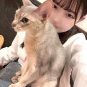 ヒメ日記 2024/12/18 17:26 投稿 なつき 元祖ぽちゃカワ倶楽部