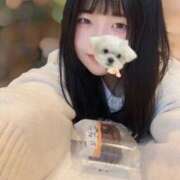 ヒメ日記 2025/02/06 13:46 投稿 なつき 元祖ぽちゃカワ倶楽部