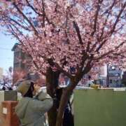 ヒメ日記 2025/03/01 18:11 投稿 なつき 元祖ぽちゃカワ倶楽部